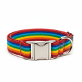Adjustable Dog Collar - Studio