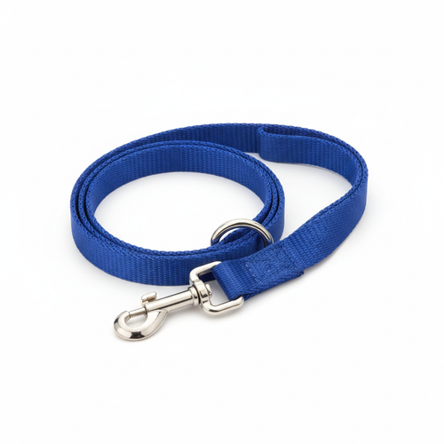 Classic Nylon Dog Leash - Studio